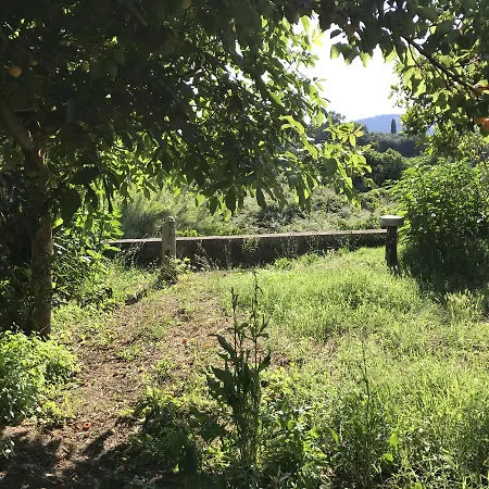 Летний дом Old Traditional House In Village *
